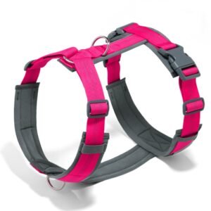 Home breathable neoprene pet harness for walking dogs