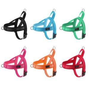 Home breathable mesh fabric small and medium sized dog pet explosion proof chest harness